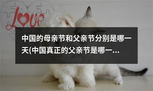 中国的母亲节和父亲节分别是哪一天(中国真正的父亲节是哪一天)