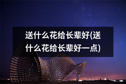 送什么花给长辈好(送什么花给长辈好一点)