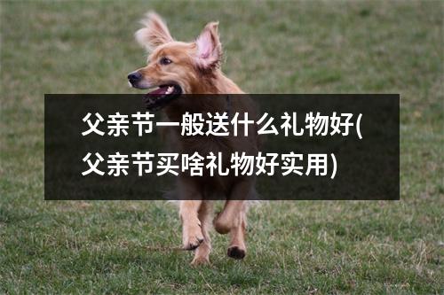 父亲节一般送什么礼物好(父亲节买啥礼物好实用)