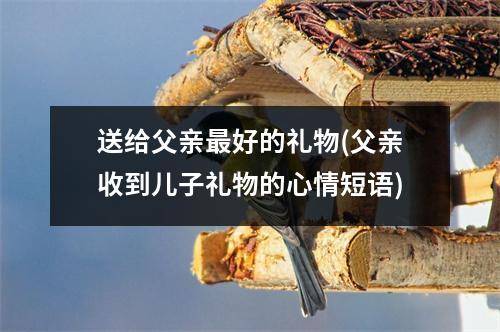 送给父亲最好的礼物(父亲收到儿子礼物的心情短语)