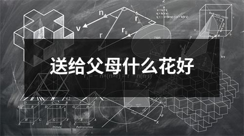 送给父母什么花好