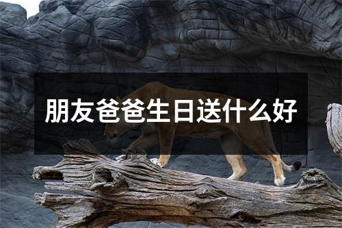 朋友爸爸生日送什么好