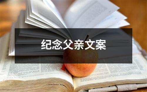 纪念父亲文案