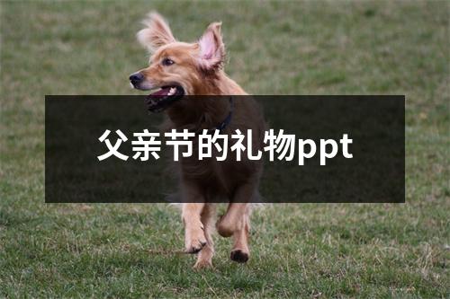 父亲节的礼物ppt