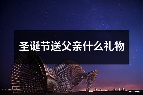 圣诞节送父亲什么礼物