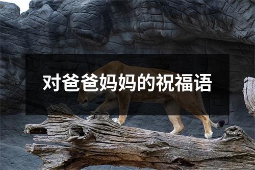 对爸爸妈妈的祝福语