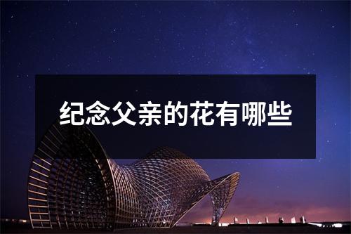 纪念父亲的花有哪些