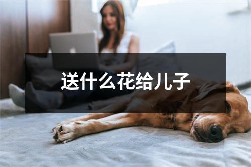 送什么花给儿子