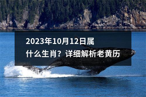 2023年10月12日属什么生肖？详细解析老黄历