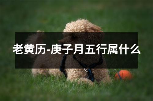 老黄历-庚子月五行属什么
