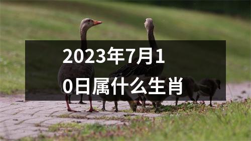 2023年7月10日属什么生肖