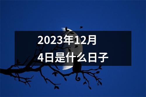 2023年12月4日是什么日子