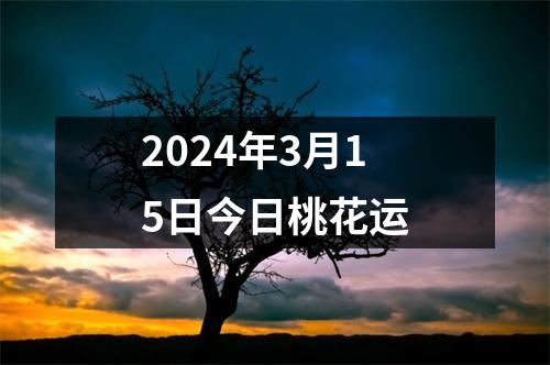 2024年3月15日今日桃花运