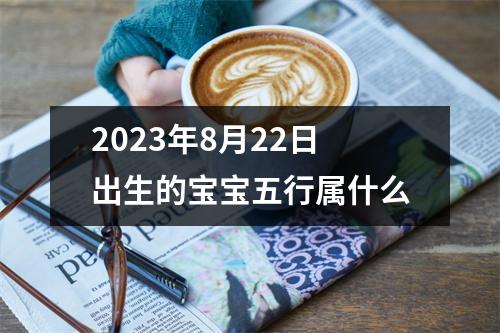 2023年8月22日出生的宝宝五行属什么