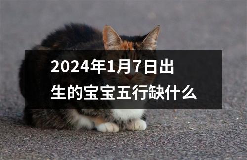 2024年1月7日出生的宝宝五行缺什么