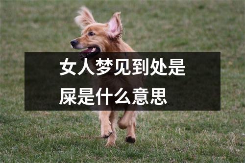 女人梦见到处是屎是什么意思