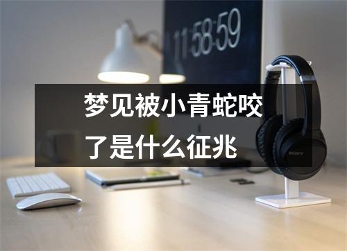 梦见被小青蛇咬了是什么征兆