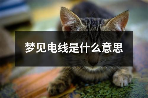 梦见电线是什么意思