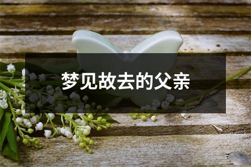 梦见故去的父亲