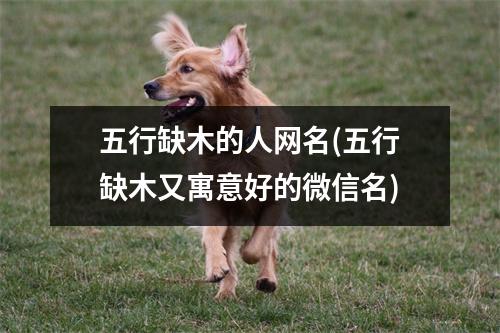 五行缺木的人网名(五行缺木又寓意好的微信名)