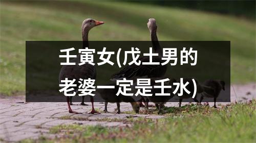 壬寅女(戊土男的老婆一定是壬水)