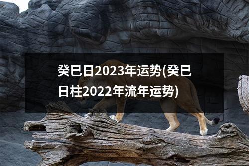 癸巳日2023年运势(癸巳日柱2022年流年运势)