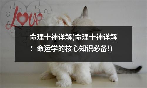 命理十神详解(命理十神详解：命运学的核心知识必备!)