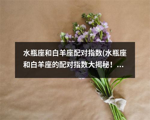 水瓶座和白羊座配对指数(水瓶座和白羊座的配对指数大揭秘！)
