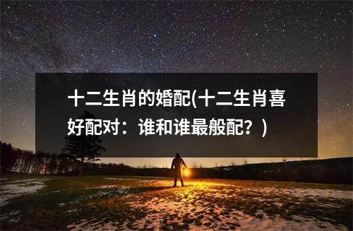 十二生肖的婚配(十二生肖喜好配对：谁和谁般配？)