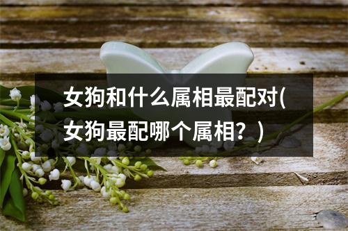 女狗和什么属相配对(女狗配哪个属相？)