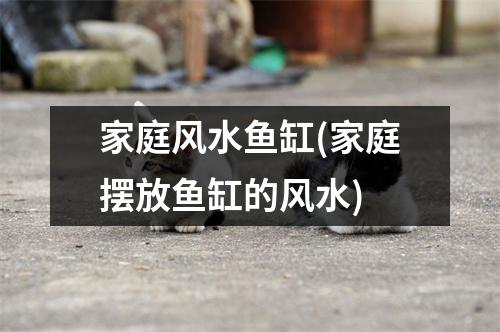 家庭风水鱼缸(家庭摆放鱼缸的风水)