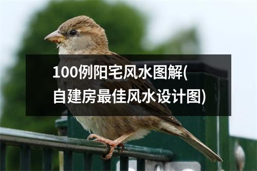 100例阳宅风水图解(自建房佳风水设计图)