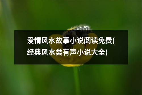 爱情风水故事小说阅读免费(经典风水类有声小说大全)