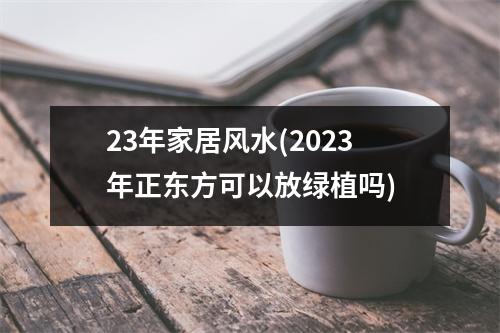 23年家居风水(2023年正东方可以放绿植吗)