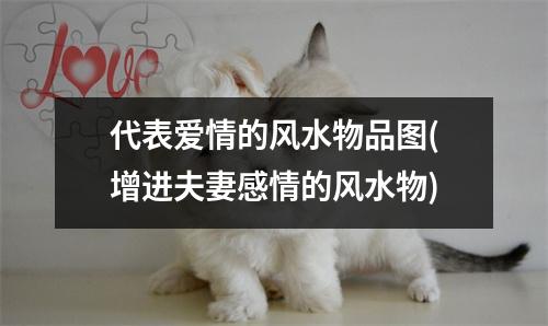 代表爱情的风水物品图(增进夫妻感情的风水物)