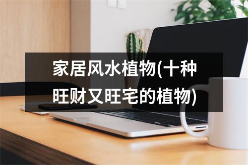 家居风水植物(十种旺财又旺宅的植物)