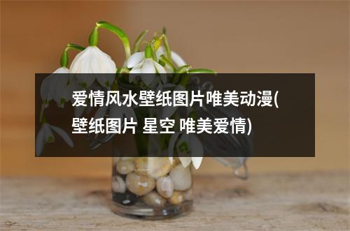爱情风水壁纸图片唯美动漫(壁纸图片 星空 唯美爱情)