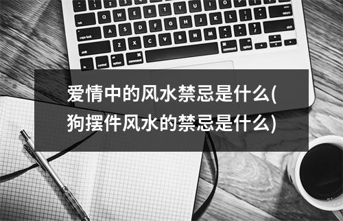 爱情中的风水禁忌是什么(狗摆件风水的禁忌是什么)