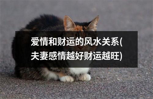 爱情和财运的风水关系(夫妻感情越好财运越旺)