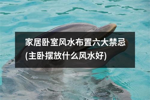家居卧室风水布置六大禁忌(主卧摆放什么风水好)