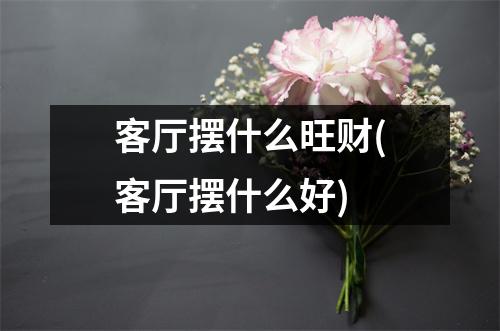 客厅摆什么旺财(客厅摆什么好)