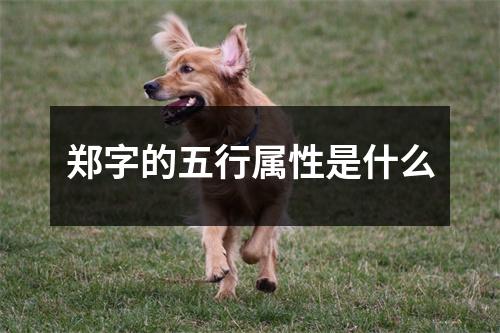 郑字的五行属性是什么
