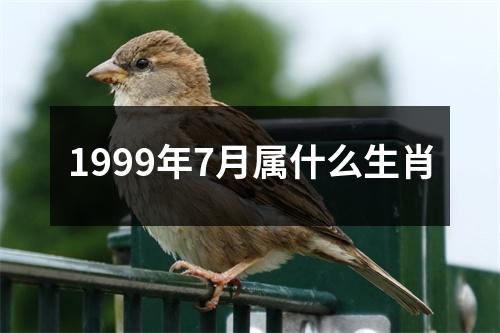 1999年7月属什么生肖