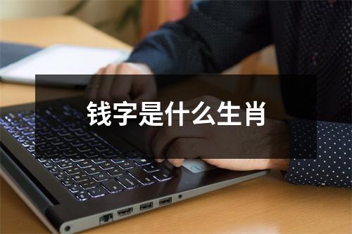 钱字是什么生肖