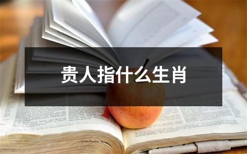 贵人指什么生肖