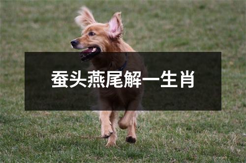 蚕头燕尾解一生肖
