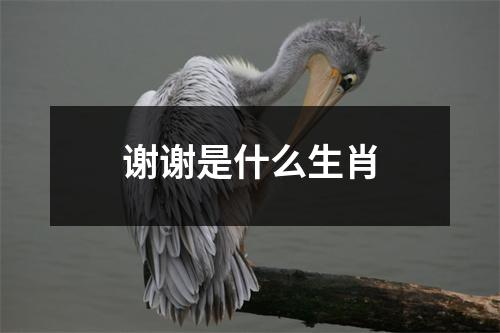 谢谢是什么生肖