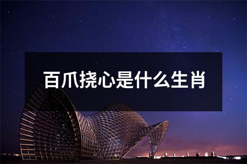 百爪挠心是什么生肖