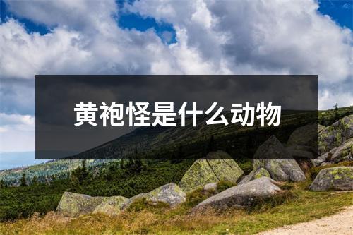 黄袍怪是什么动物