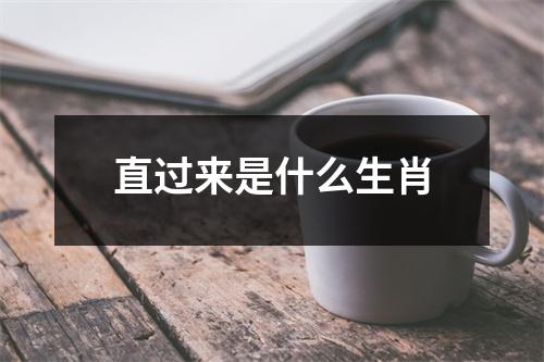 直过来是什么生肖